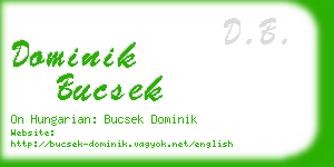 dominik bucsek business card